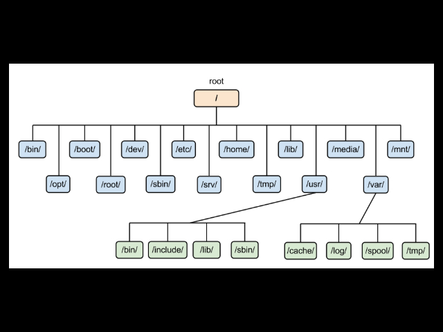 루트 디렉토리를 기준으로 한 리눅스 시스템의 기본 디렉토리 구조를 정리한 트리 다이어그램